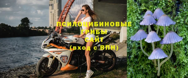 тгк Алзамай